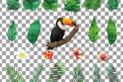 Tropical Paradise watercolor clip art pack, watercolor tropical leafs and flowers. Watercolor Toucan, PNG, jpg, svg, vector files included Product Image 16