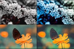35 Flowering Spring Lightroom Presets Product Image 3