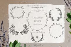 Ink calligraphy illustrations. Floral. Florigraphy Elegant. Product Image 4
