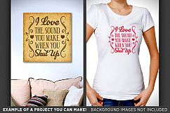 I Love The Sound You Make When You Shut Up SVG File - 1515 Product Image 2