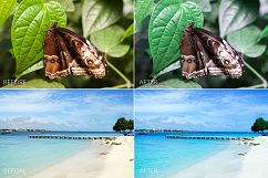 Tropical Lr Presets Product Image 13