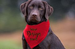 Dog Scarf Mockup, Holiday Dog Scarf Mockup Red and Green Product Image 3
