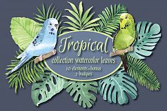 Tropical watercolor set. Product Image 1