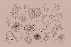 THE FLORISTRY floral collection - watercolor, line art, real Product Image 9