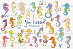 Sea Horses Product Image 1