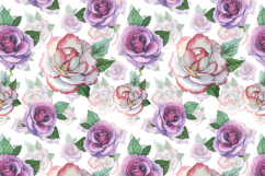 Romantic set of 6 PNG watercolor roses Product Image 6