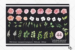 Watercolor Flower Clip Art - Elise Product Image 5