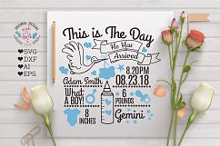 Baby Boy Birth Announcement - Chart in SVG, DXF, EPS, AI Product Image 3