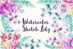 Watercolor Sketch Lily Product Image 1