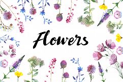 Wild Flowers watercolor PNG set Product Image 3