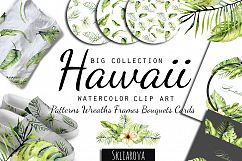 Hawaii. Big tropical clip art. Product Image 1