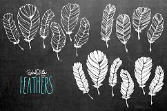 Feathers Product Image 3