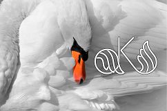 Swan Typographic Letter A-Z Alphabet SVG PNG EPS AI Product Image 17