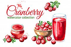 Cranberry. Watercolor collection Product Image 1