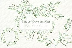 Olive branches. Watercolor clipart. Product Image 3