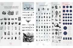 Naturalia Bundle - 400 Elements Product Image 2