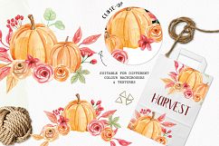 Watercolor Pumpkin Clipart Bouquets Harvest Autumn Fall   Product Image 2