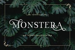 Monstera Product Image 1