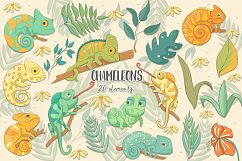 Chameleons Product Image 1