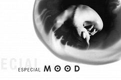 MICROCOSM - 55 Photoshop brushes Product Image 8