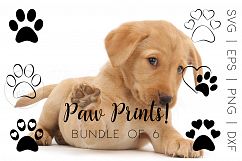 Paw Prints SVG Bundle Product Image 1