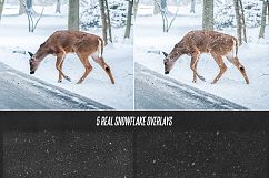 Christmas Overlays Creator Product Image 3