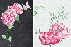 Watercolor Pink Flowers Peonies Flower Clip art Product Image 4