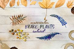 Brake plants PNG watercolor set Product Image 2