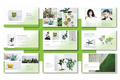 Plant Keynote Template Product Image 4