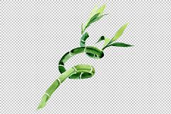 Bamboo Dracena sanderiana PNG watercolor set Product Image 3