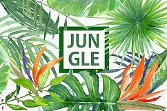 Tropical leaves branches Watercolor Product Image 4