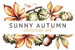 Sunny autumn. Chestnut set Product Image 1