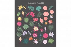 Paradise Flowers Product Image 2