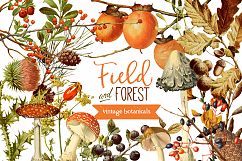 Field &amp; Forest Vintage Botanical Graphics Product Image 1
