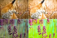 Bright Lr Presets Product Image 2
