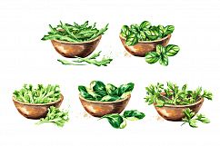 Herbs &amp; spices. Product Image 4