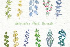   Set of watercolor design elements: rose flowers, plants, butterflies, seamless patterns, splashes.  Product Image 7