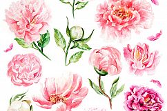 Hand Drawn Watercolor BUNDLE 4 Product Image 9