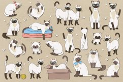 Siamese Cats Product Image 2