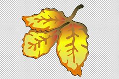 Vector autumn yellow rose hip plant PNG set Product Image 5