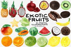 Exotic Fruits - Watercolor Illustrations Product Image 2
