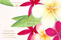 Plumeria Tropical watercolor flowers Product Image 2