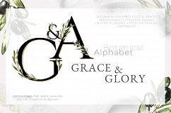 Grace &amp; Glory Botanical Alphabet Olive Watercolor Product Image 1
