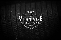 100 VINTAGE LOGO TEMPLATES Product Image 18