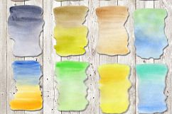 Succulents &amp; Cactuses Product Image 9