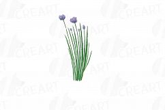 Herbs and Spices clip art pack, Watercolor herbs and spices chart, kitchen herbs, food print. PNG, jpg, svg, vector illustrator &amp;corel files Product Image 3