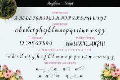 Angelina Script Product Image 11