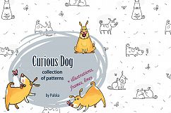 Curious Dog collection Product Image 1