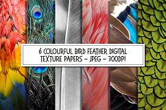 Colourful Birds Feathers Texture Images Bundle Product Image 1
