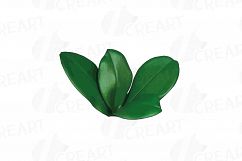 Colourful orchids watercolor clip art pack, leaves, flowers Product Image 3